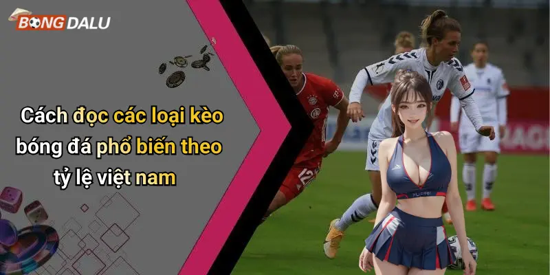 Cách đọc các loại kèo bóng đá phổ biến theo tỷ lệ việt nam