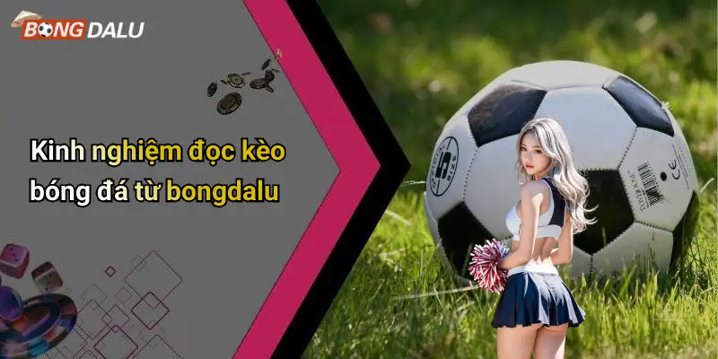 Kinh nghiệm đọc kèo bóng đá từ bongdalu