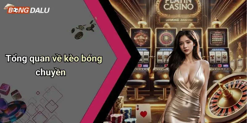 Kèo bóng chuyền 1 Tổng quan về kèo bóng chuyền