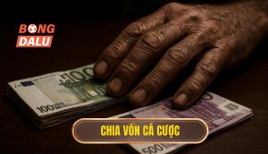 thumb - chia vốn cá cược