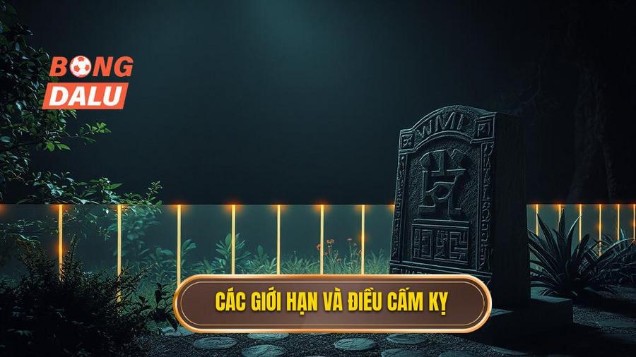 3. Các giới hạn và điều cấm kỵ