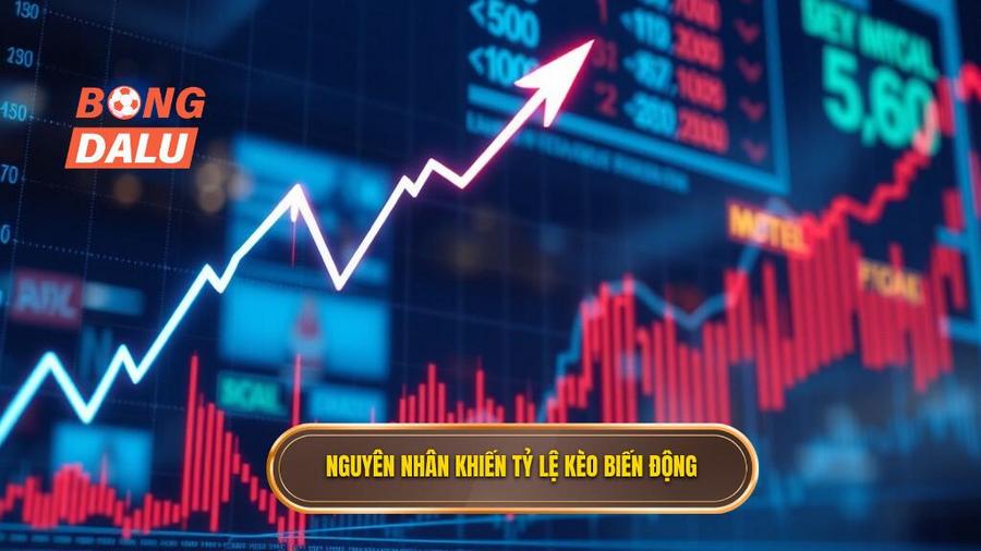 2. Tại sao tỷ lệ kèo lại biến động?