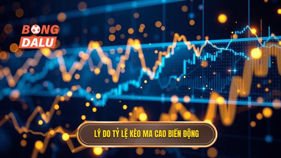 3. Phân tích đa chiều: Tại sao tỷ lệ kèo Ma Cao thường xuyên biến động?