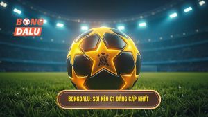 Soi kèo các trận đấu cúp C1 châu Âu 2025: Kinh nghiệm từ chuyên gia